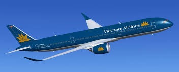 Tiếp viên Vietnam Airlines bị bắt tại Nhật Bản