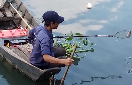 Chích điện tận diệt thủy sản