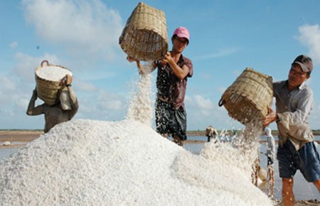 Chưa thể làm giàu từ muối quý Bạc Liêu