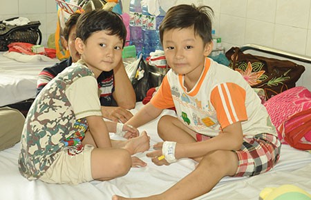 Hai cặp anh em ruột nghi mắc viêm não Nhật Bản