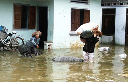 Không bàn chống lũ, chỉ lo doanh thu!