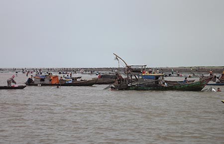 Bất lực trước “nghêu tặc”!
