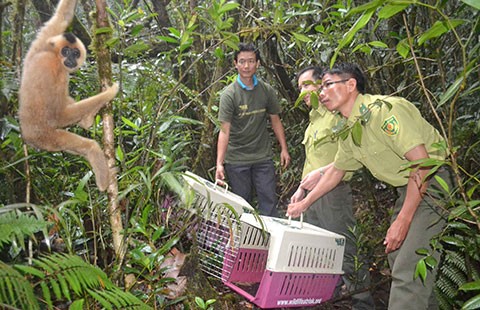 Phát hiện hàng ngàn bẫy thú trong khu bảo tồn