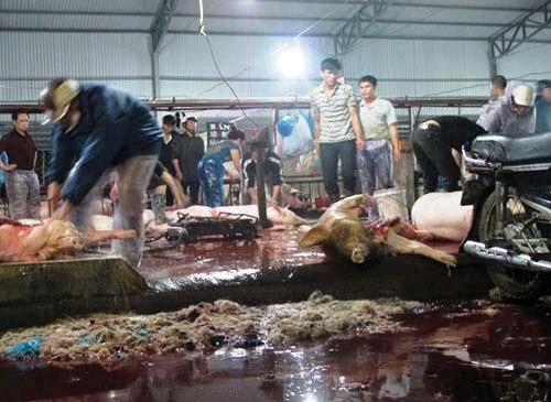 Thu hồi giấy phép Cơ sở giết mổ Trung tâm ở quận 12