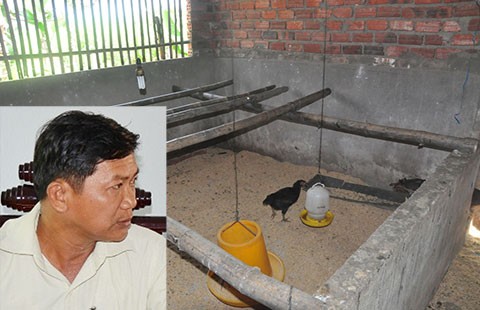 Quan xã ‘ăn’ gà hỗ trợ của người nghèo