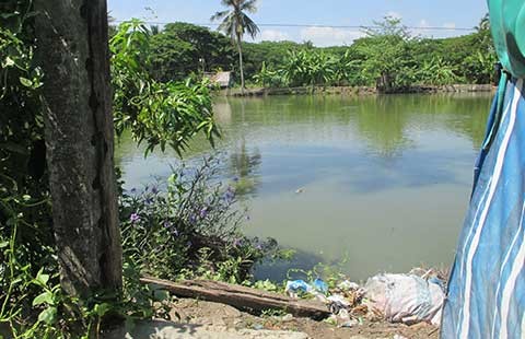 Người dân kêu trời vì nước thải tràn vào nhà
