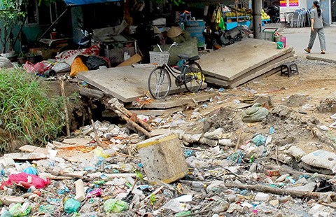 Để lăng quăng sinh sôi, bị phạt!