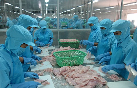 Nghị sĩ Mỹ lên tiếng, cá tra Việt có thoát ‘nạn’?