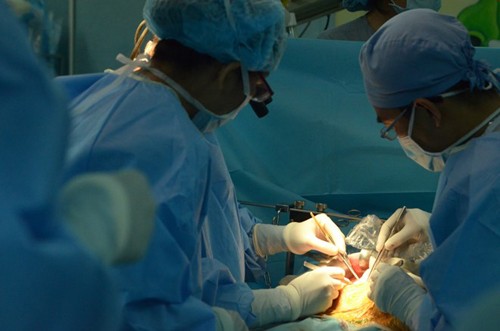 Xuất hiện thông tin giả mạo địa chỉ đăng ký hiến tạng