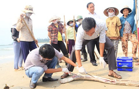 Mượn vỏ vì cộng đồng, thực hiện mưu đồ riêng
