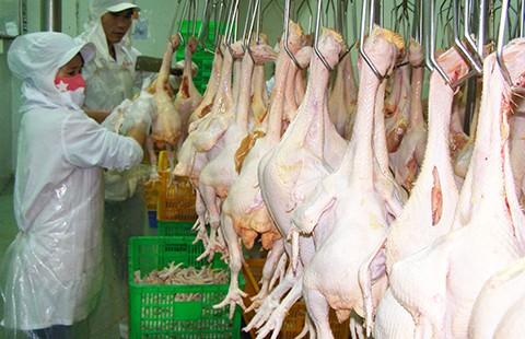 Cấp gần 100 giấy chứng nhận chuỗi thực phẩm an toàn