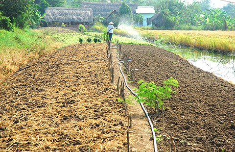 Không có chuyện hạn chế diện tích đất chuyển mục đích