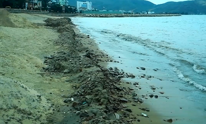 Bùn đen, xà bần xuất hiện dày đặc ven biển Quy Nhơn