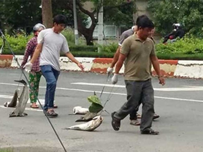 13 tỉ đồng bồi thường vụ cá chết ở Long Sơn