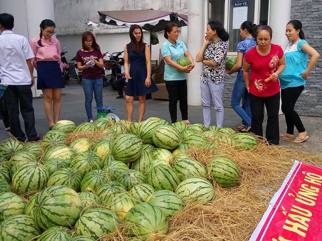 Sau ‘giải cứu’ nông sản: Cần giải pháp tận gốc