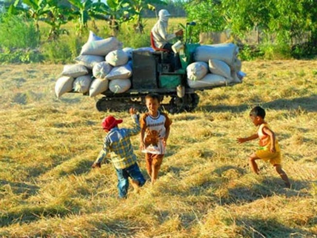 Đánh mất mùa hè của trẻ