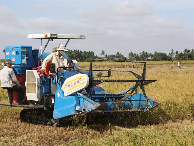 Tích tụ ruộng đất phải theo quy luật thị trường