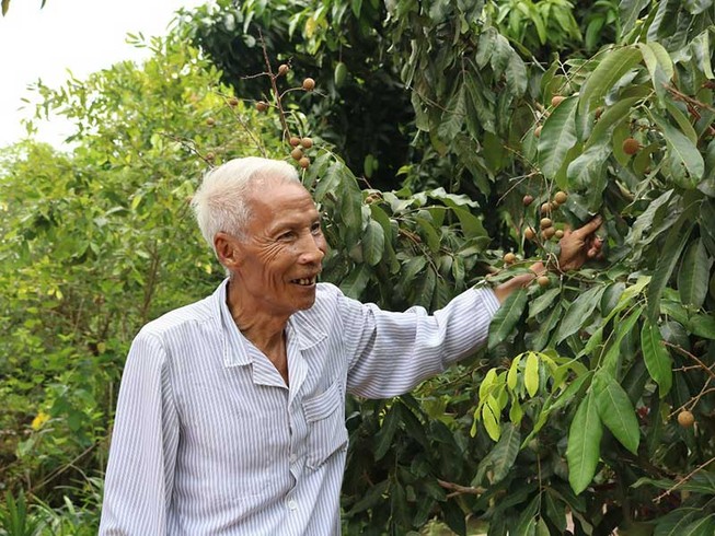Chuyện khởi nghiệp của ông Năm Phích 90 tuổi