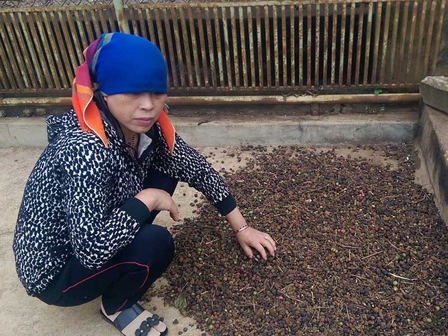 Thư ký không nhận lỗi, chánh án yêu cầu kiểm điểm lại