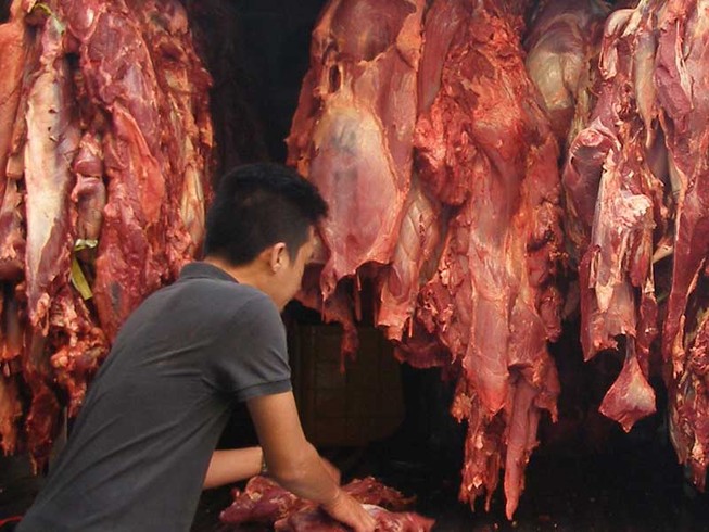 Đừng để dân TP.HCM ăn heo chết, bò bơm nước