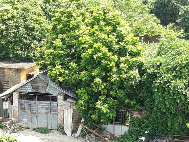 Cán bộ thôn là người có chức vụ, quyền hạn?