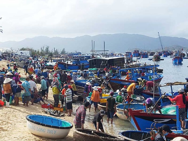 Khánh Hòa gượng dậy sau bão