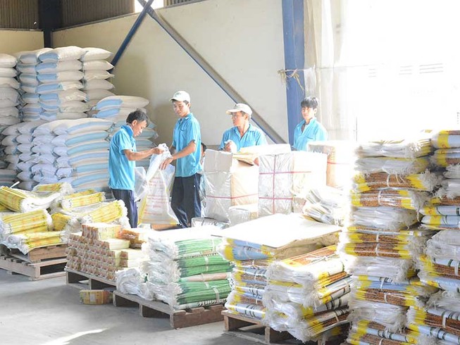 Lo giấy phép con, cháu mọc lên như nấm