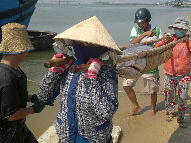 ‘Lộc biển’ đầu năm và khát vọng vươn khơi