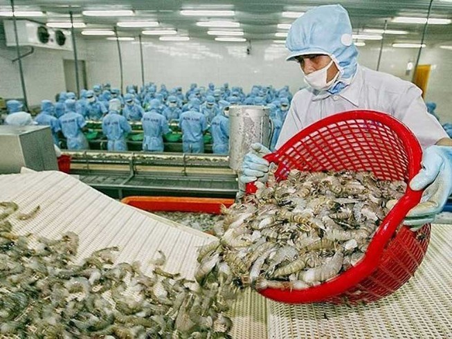 Hàng Việt ra biển lớn: Dở khóc, dở cười