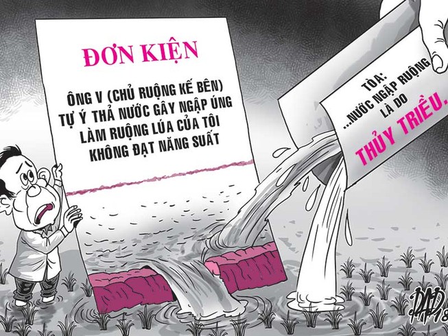 Kiện chủ ruộng kế bên vì… mất mùa lúa