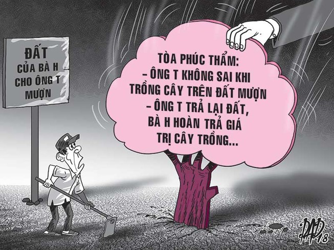 Đòi cả vườn nhưng được trả 420 cây mít