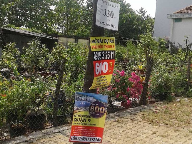 Treo quảng cáo lên cây sẽ bị phạt