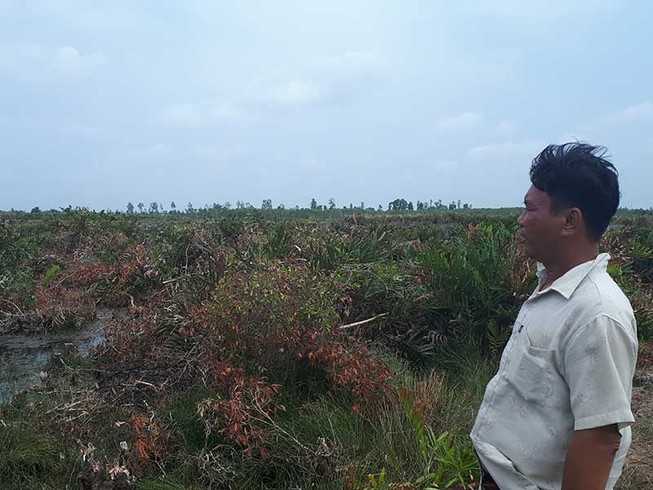 Những cánh rừng bị dân ‘tuyên án tử’