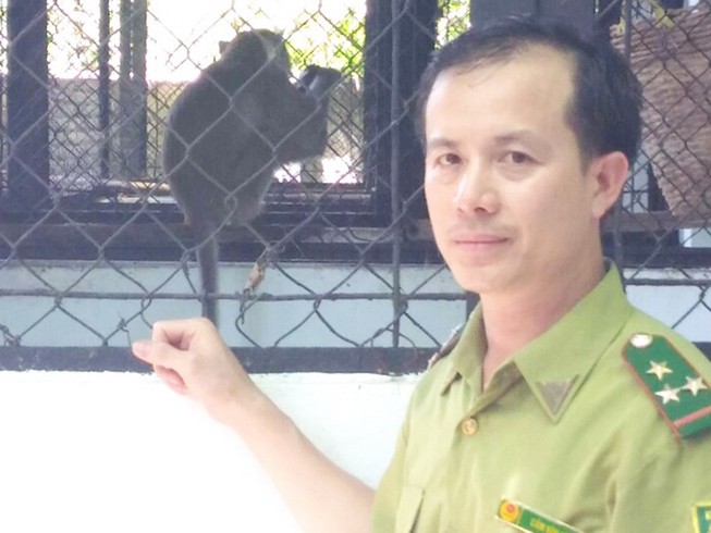 Ba lý do không nên nuôi khỉ trong nhà