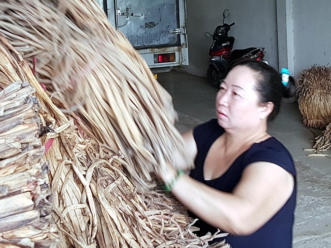9 năm đòi công lý của ‘nữ hoàng lục bình’