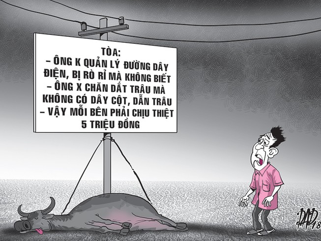 Vụ án con trâu cái bị điện giật