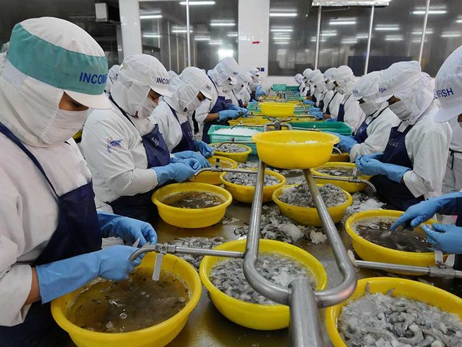 Tôm, cá Việt rộng đường sang Mỹ