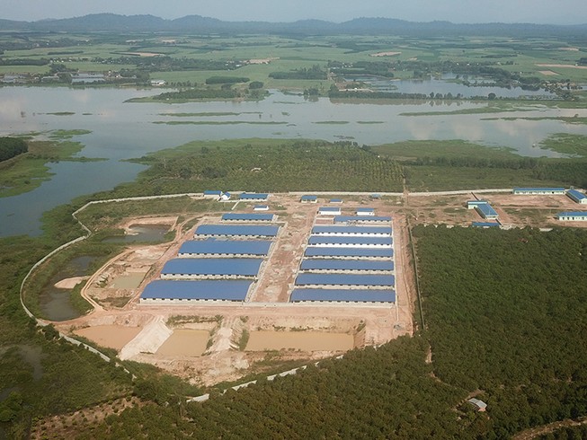 Trại heo khủng đe dọa nguồn nước đầu nguồn TP.HCM