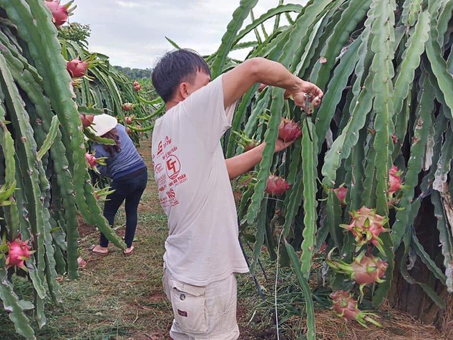 Tham tán thương mại Trung Quốc nói gì về hàng Việt?
