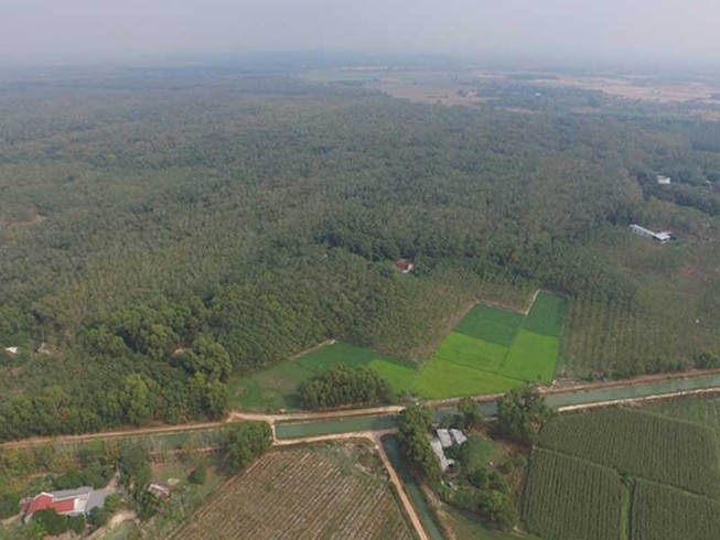 Sagri có vi phạm gì đối với 1.900 ha đất?