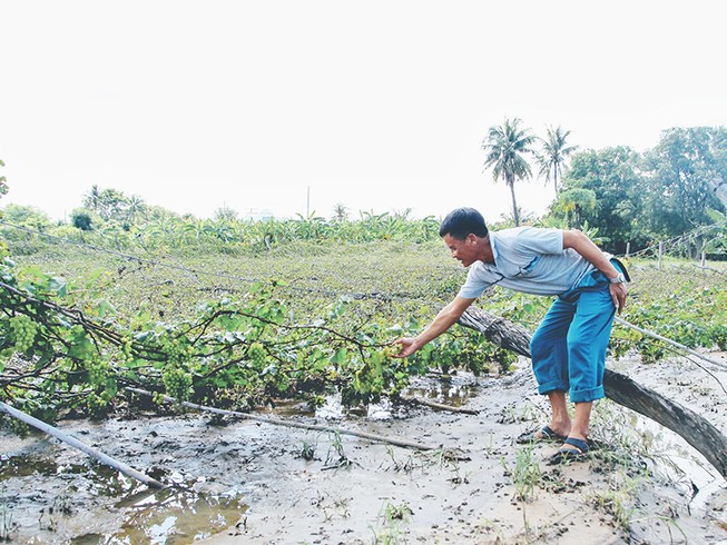 ‘Chạy lũ chồng lũ, tôi trắng tay rồi, chú à!’