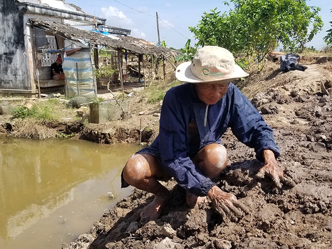 Ác mộng hà bá ở cồn Phú Đa, Bến Tre
