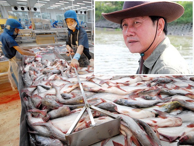 Vua cá Dương Ngọc Minh tìm lại danh tiếng đã mất