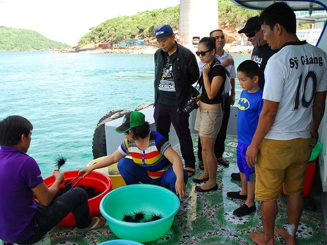 Nở rộ tour du lịch Tết sang chảnh, ‘độc, lạ’