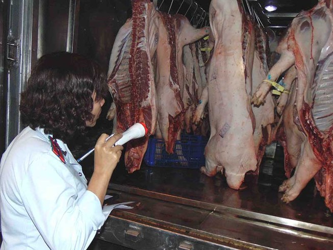 Ngăn heo lở mồm long móng vào TP.HCM