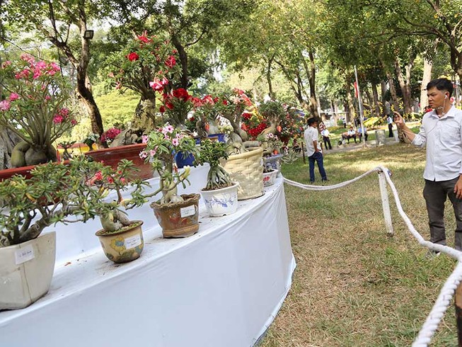 Hoa đẹp, kiểng lạ 4 phương tràn ngập TP.HCM