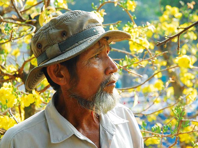Thương người đem mùa xuân về