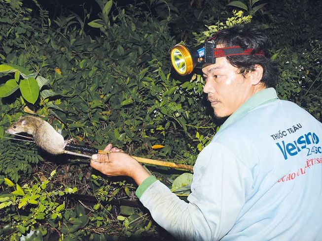 Chuyện lạ miền Tây