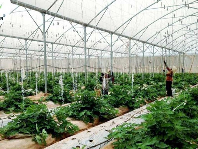 Biến dự án ở Đồng Nai từ công sang tư