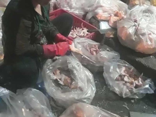 Ớn lạnh gà bán trong trung tâm giết mổ gia cầm